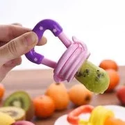 baby-fruit-feeder-pacifier Baby Fruit Feeder Pacifier